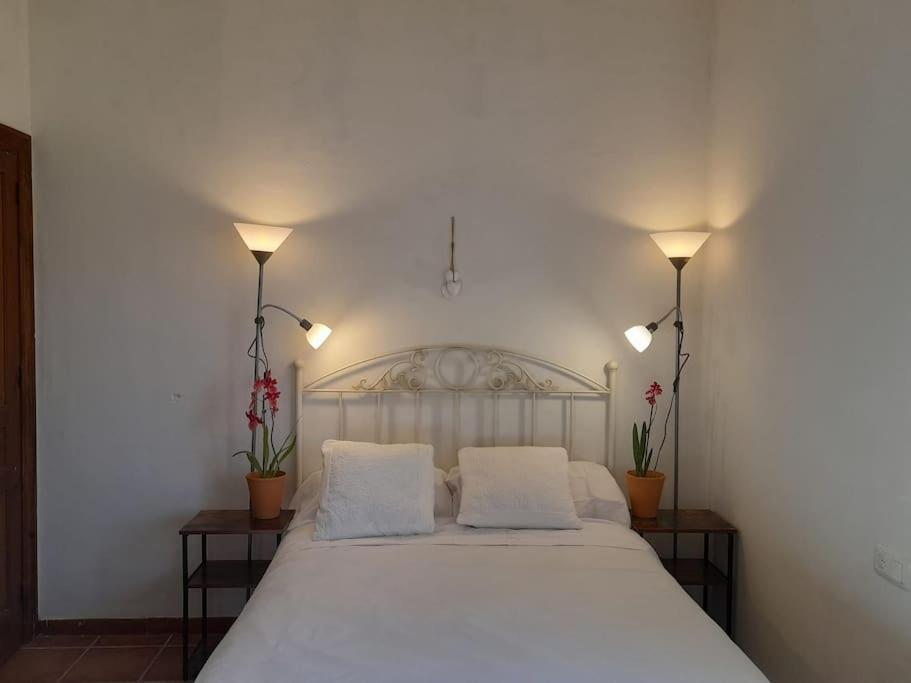 Casa De Las Lavandas, อาบีลา ภายนอก รูปภาพ