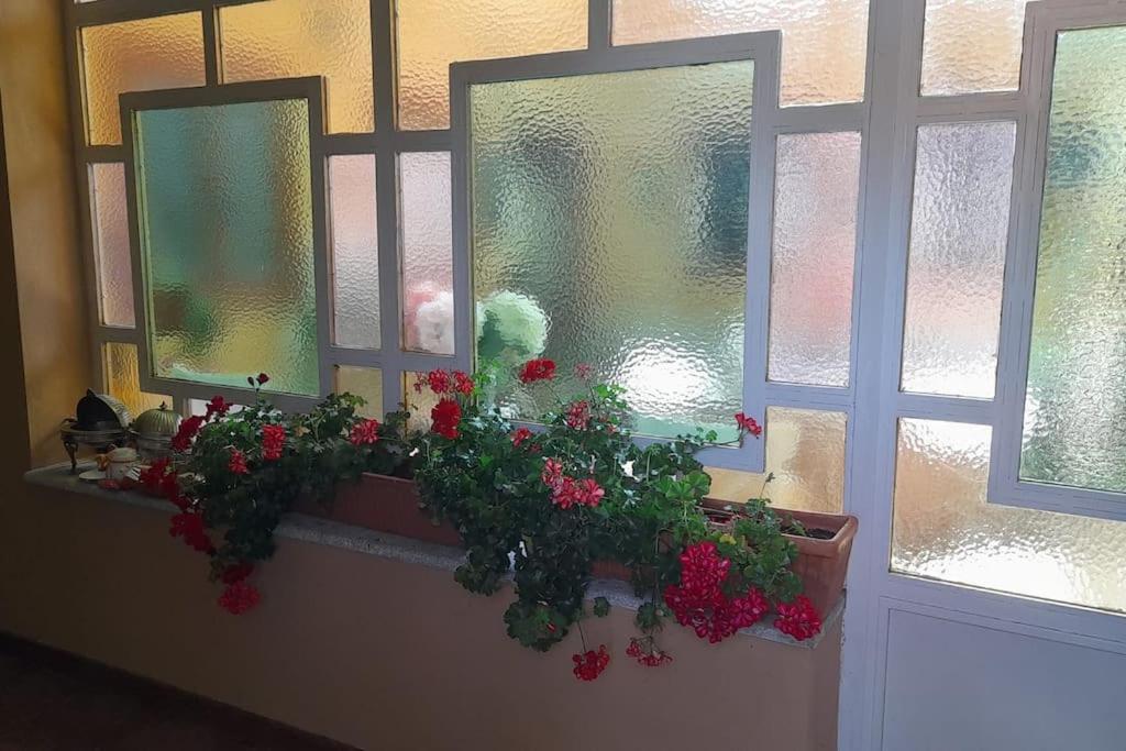 Casa De Las Lavandas, อาบีลา ภายนอก รูปภาพ
